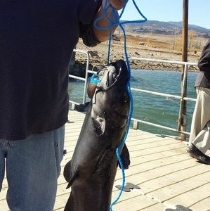 Meet your Posher, Ken